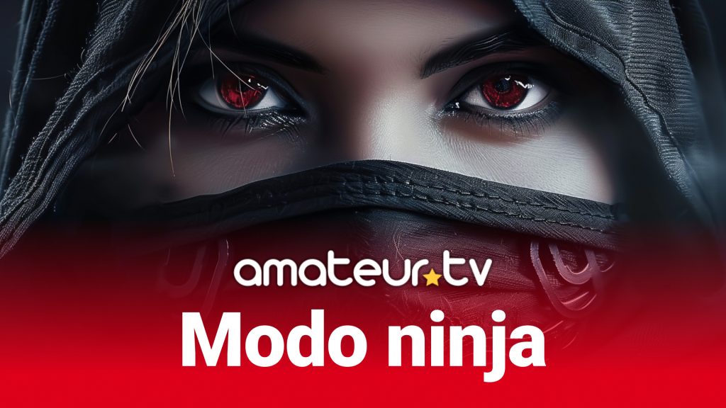 modo ninja